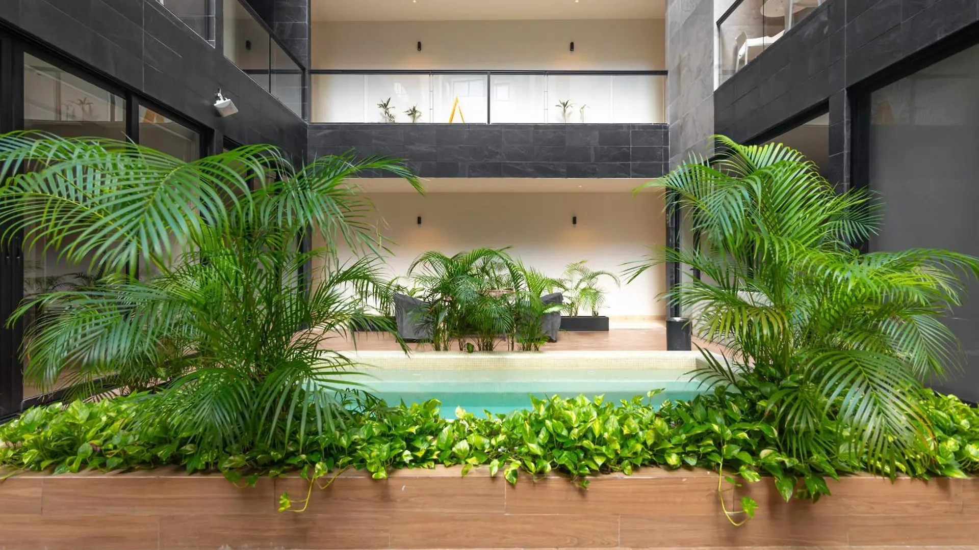 Musa Del Carmen By Boutique Apartments Mx Playa del Carmen 0*,